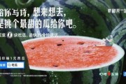 吃瓜娱乐圈的文案,揭秘明星幕后故事